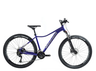 Winner SPECIAL 17" 27.5"