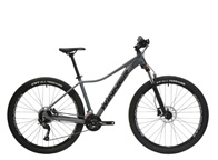 WINNER SPECIAL 27.5