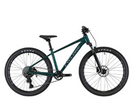 CYCLONE RX S 26