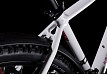 Cube Access WS Allroad